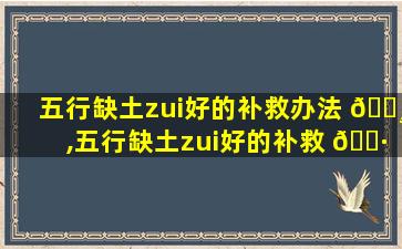 五行缺土zui
好的补救办法 🌸 ,五行缺土zui
好的补救 🕷 办法、弥补方式